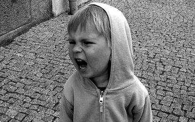 CALIFORNIA, USA: Parrots in the House