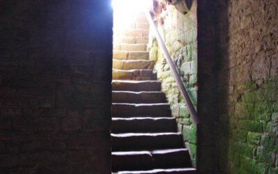 Saudi Arabia: My House Is A Dungeon?